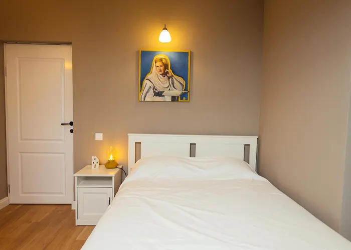 Vakantiehuis Cotroceni House *