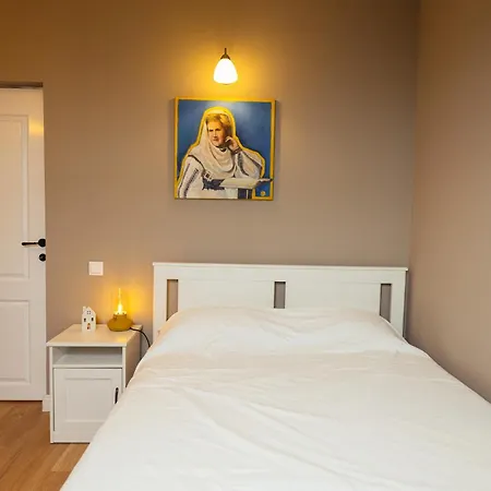 Case de vacanță Cotroceni House *